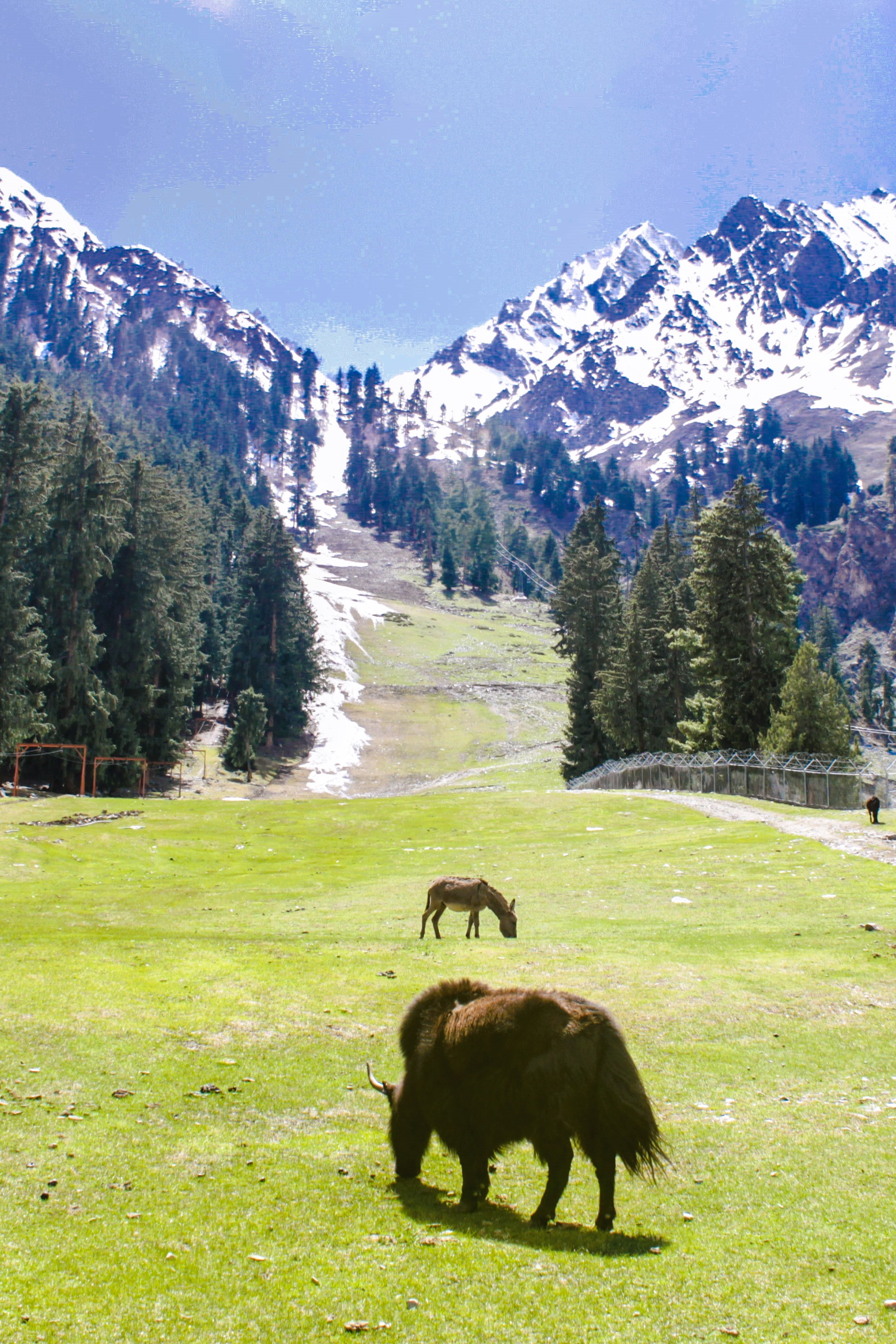 Nalter with emerald lakes and snow-capped peaks